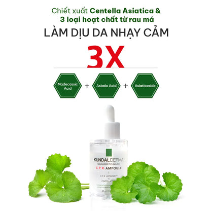 Tinh Chất Làm Dịu, Cấp Ẩm và Phục Hồi Da KUNDAL DERMA C.P.R. CICA REPAIR AMPOULE 30ml