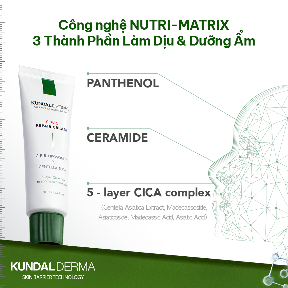 Kem Dưỡng Cấp Ẩm Phục Hồi Chuyên Sâu KUNDAL DERMA C.P.R. CICA BALM REPAIR CREAM 50ml