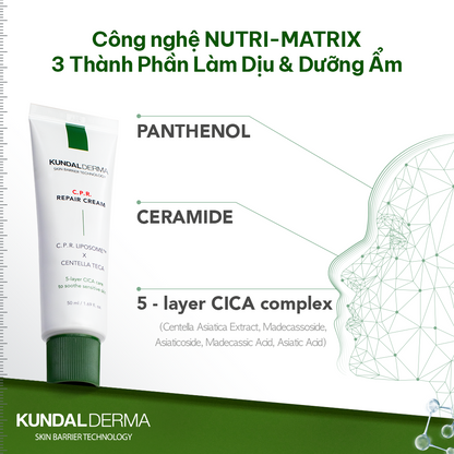 Kem Dưỡng Cấp Ẩm Phục Hồi Chuyên Sâu KUNDAL DERMA C.P.R. CICA BALM REPAIR CREAM 50ml